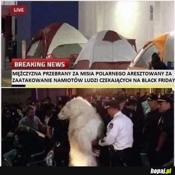Prawdziwy przestępca