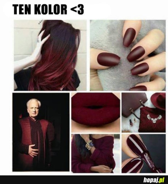 MÓJ ULUBIONY KOLOR