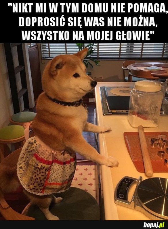 PIESEŁ PANI DOMU