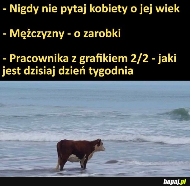 Nigdy nie pytaj...