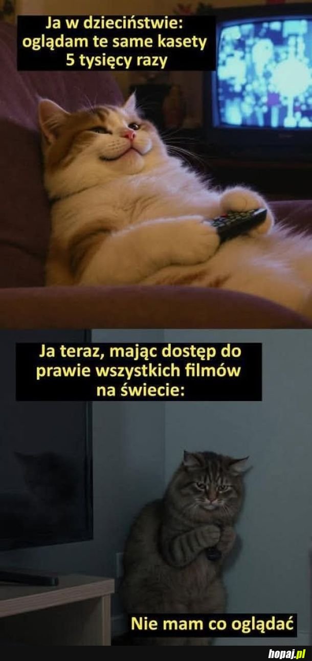 Potwierdzam.