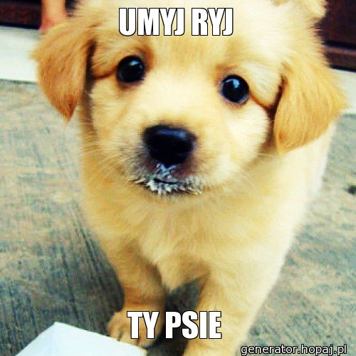 UMYJ RYJ