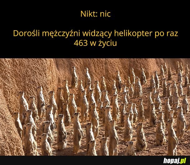 Uuuu leci