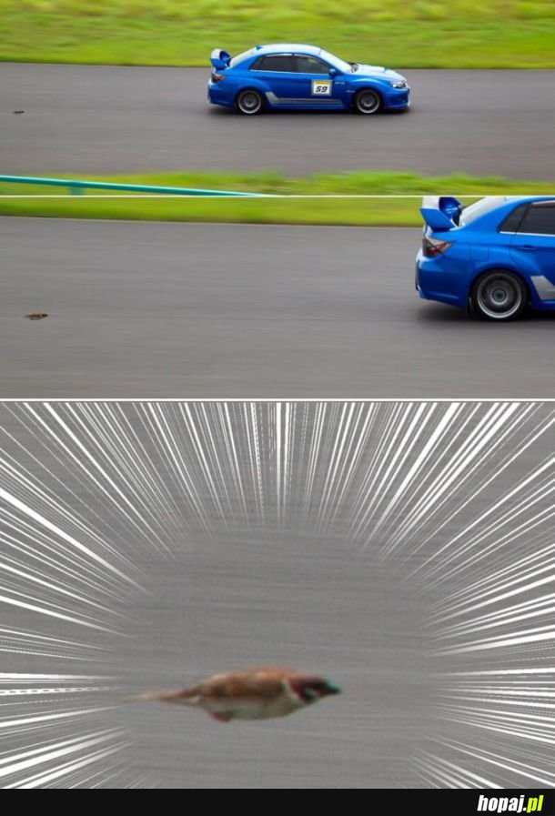 Szybki i wściekły