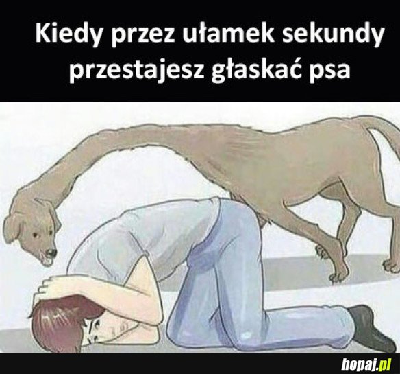 Głaszcz mnieee