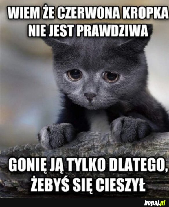 WYZNANIE KOTEŁKA