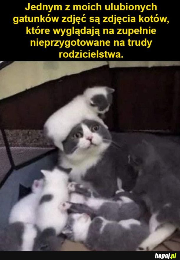 Trudy rodzicielstwa