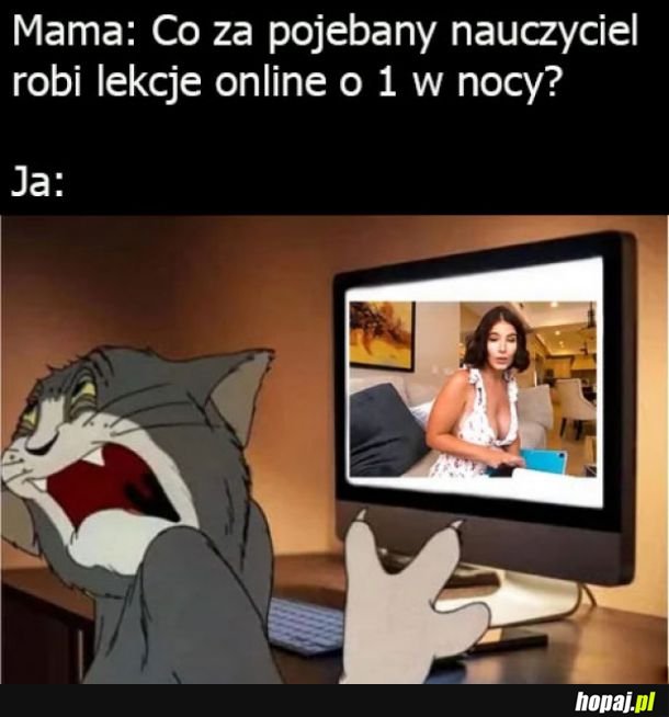 Lekcje online