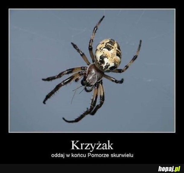 PAJONK