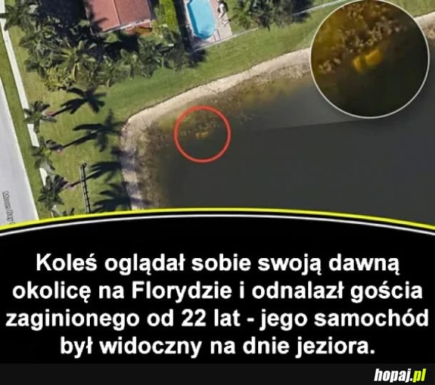 Niecodzienne znalezisko