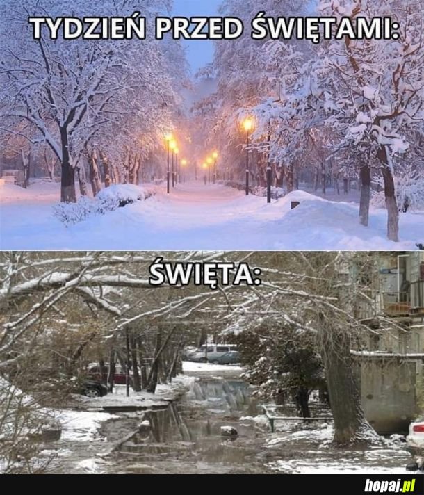 Oczywiście
