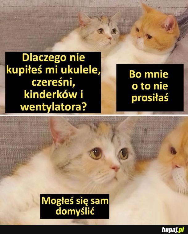 Domyśl się