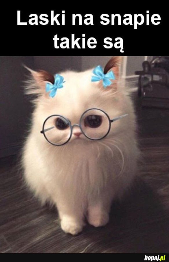 LASKI NA SNAPIE