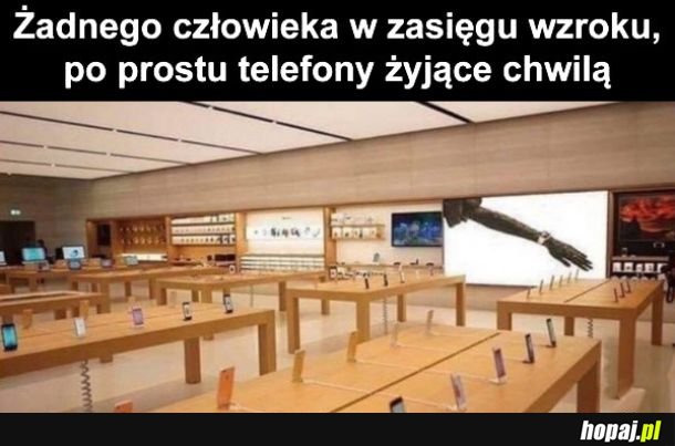 Najpiękniej