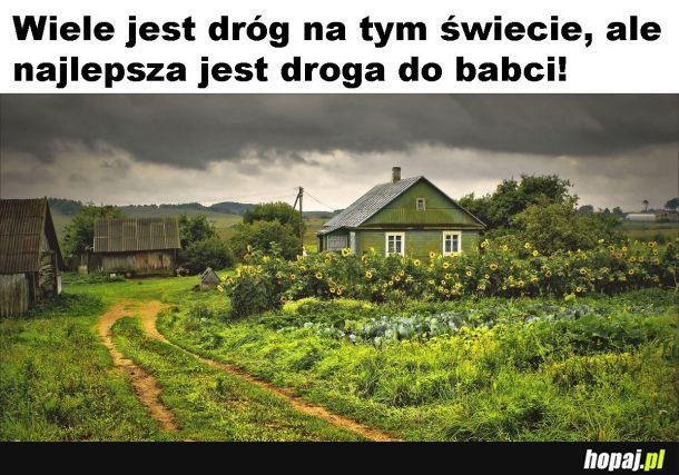 Zapach świeżego powietrza