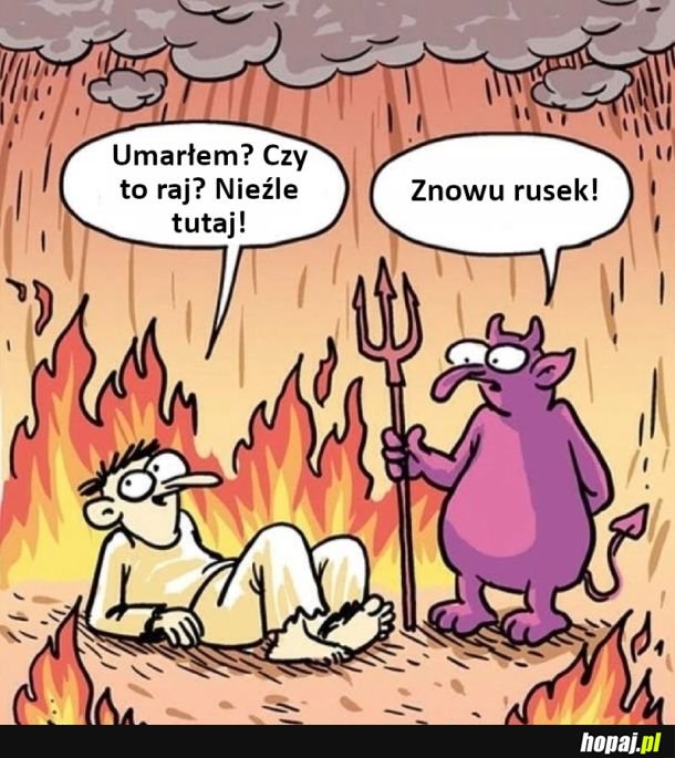 Przyzwyczajeni do gorszego
