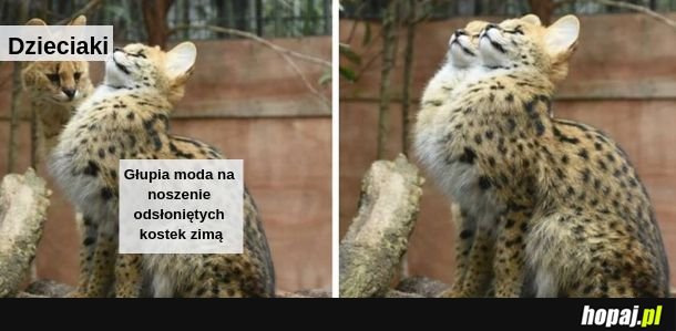 Podążaj za modą!