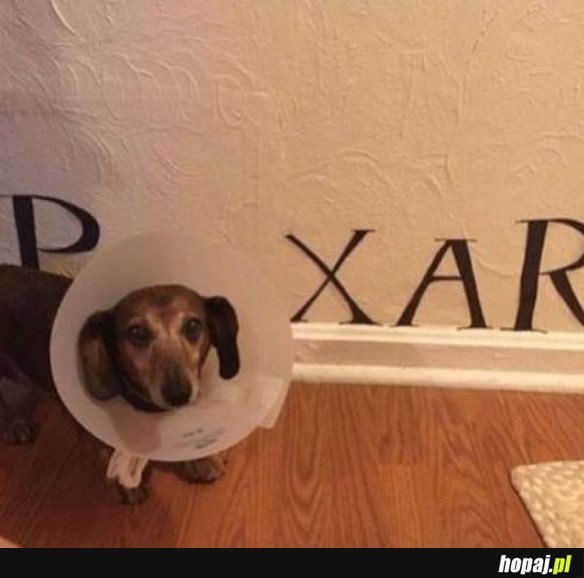 PSIXAR