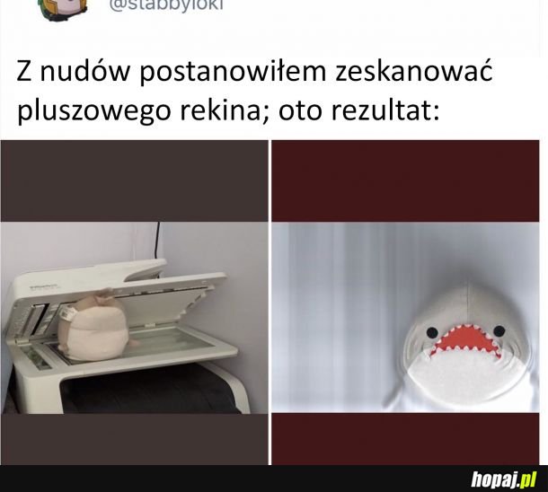 Ludzie robią dziwne rzeczy z nudów