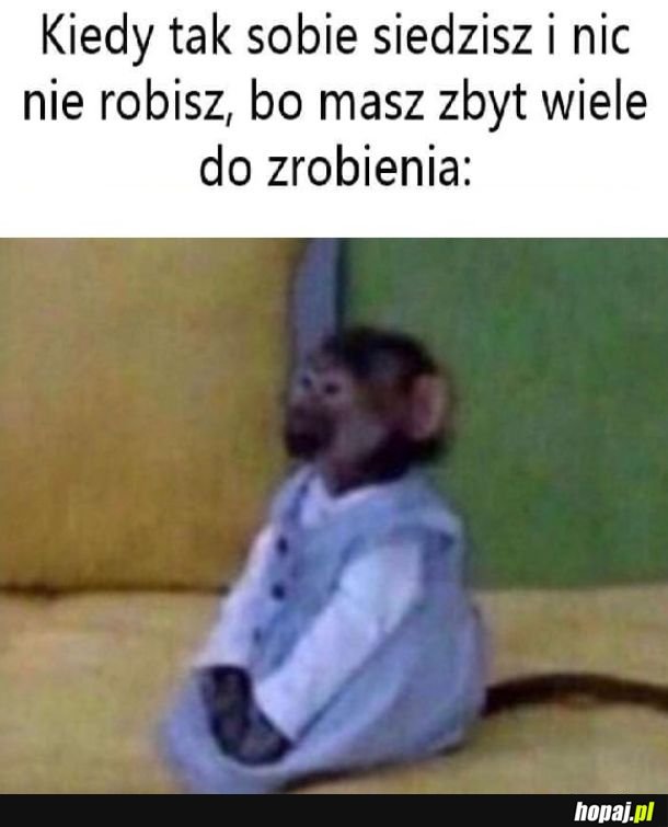 Nawał pracy