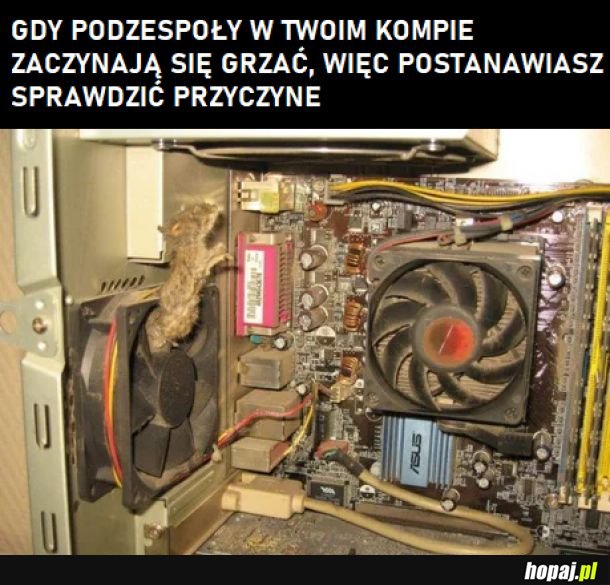 Dbajcie o swoje PC