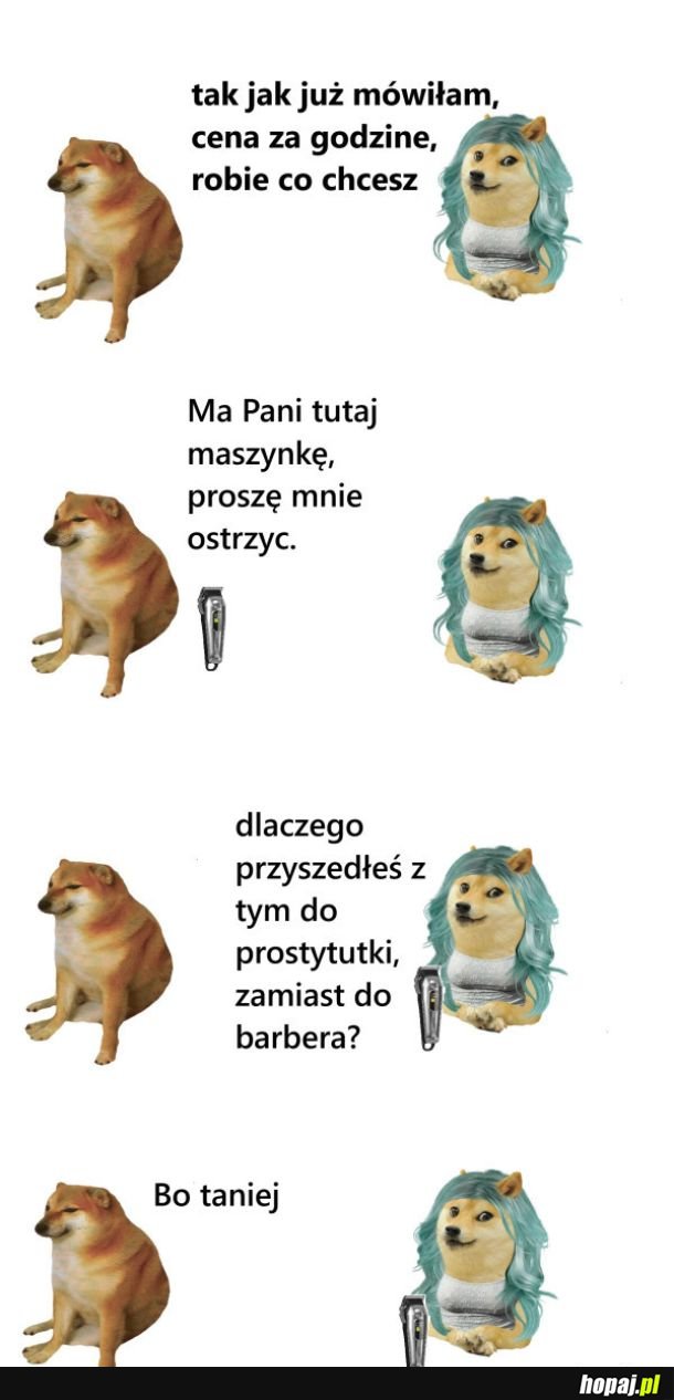 Ceny u barbera są odklejone