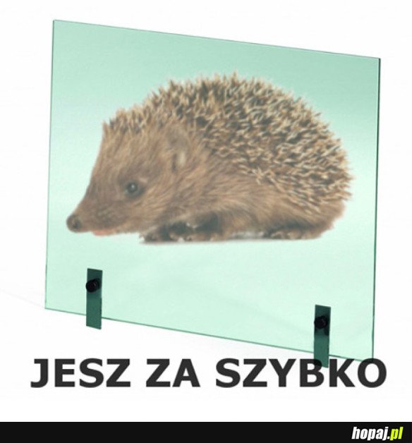 Heheszki