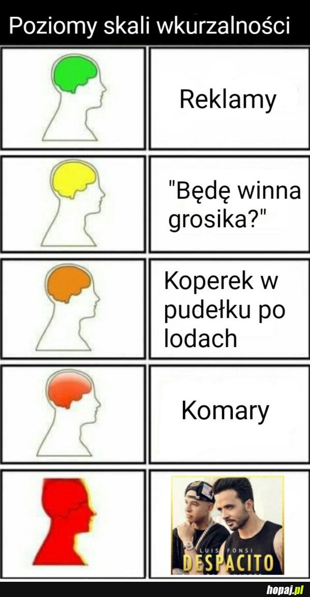 POZIOMY WKURZALNOŚCI