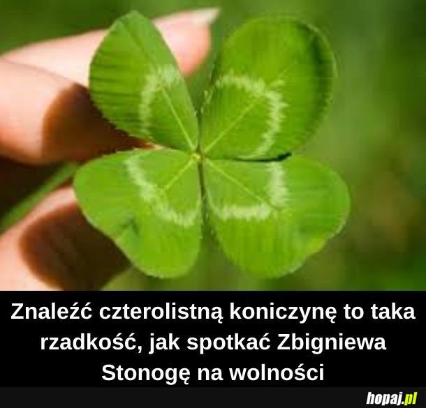 Wielkie szczęście!