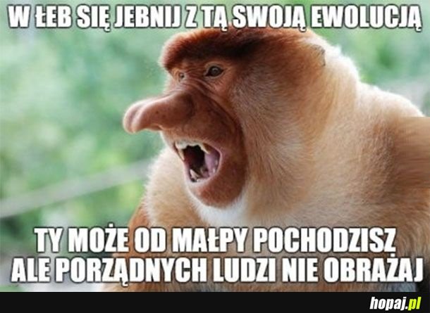 Nie obrażaj człowieku