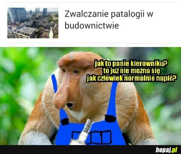 Wszystko chcą człowiekowi odebrać...