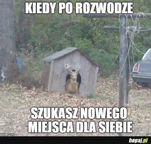 TRZEBA JAKOŚ NA NOWO UŁOŻYĆ SOBIE ŻYCIE