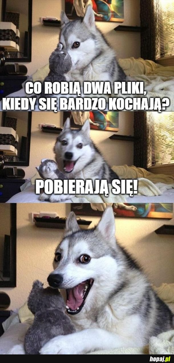 Poziom wilgotności - 0%