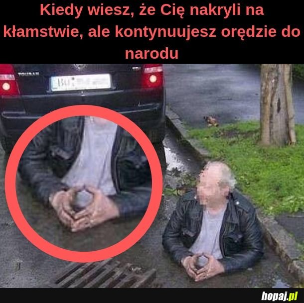 Każdy polityk 