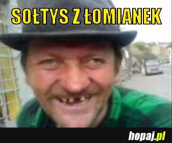 Soltys