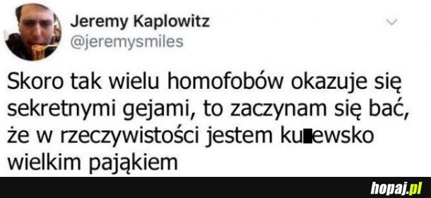  Pajączek