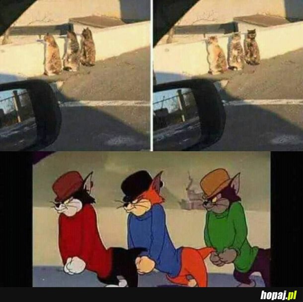 Podobieństwo