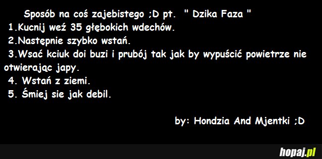 Dzika faza