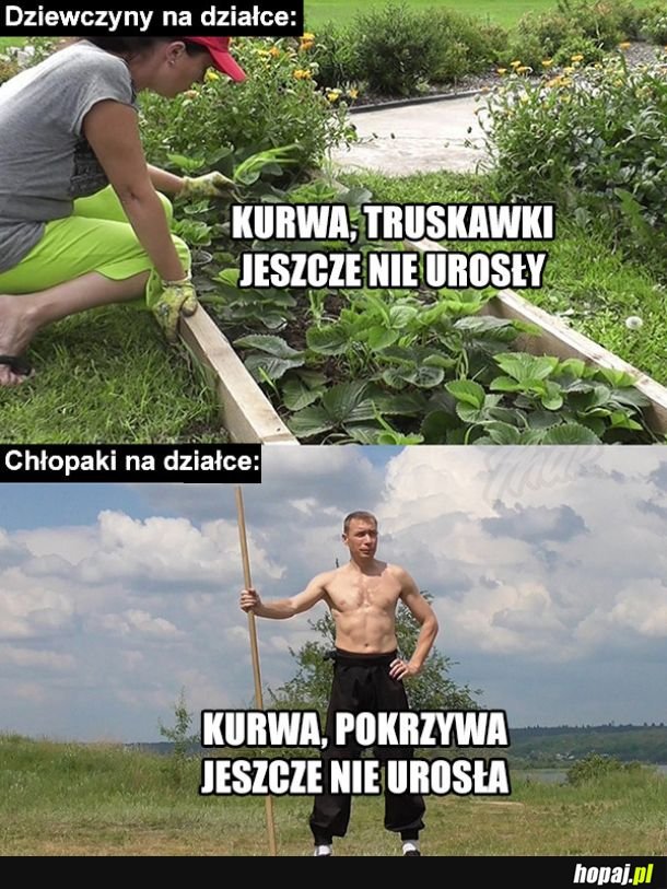 Na działce