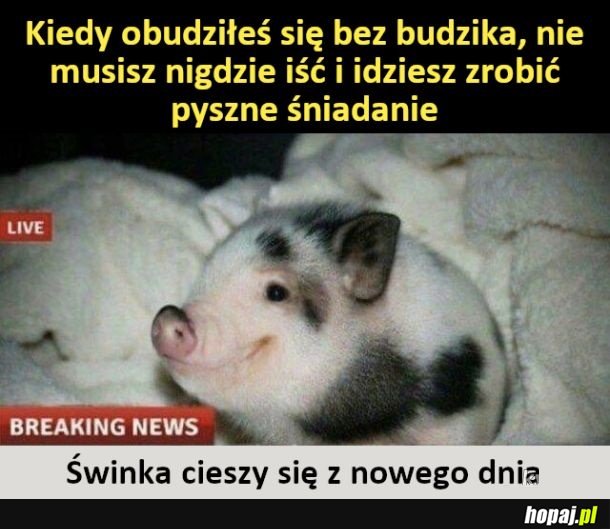 Wspaniały dzień