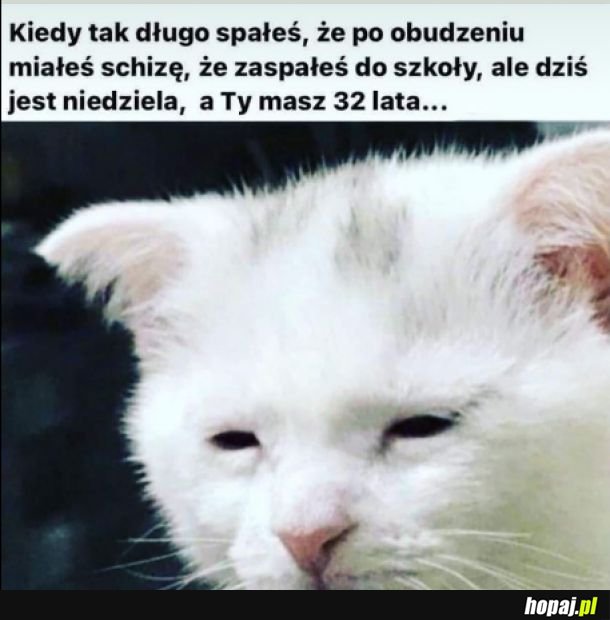 Nie ma to jak dobra drzemka