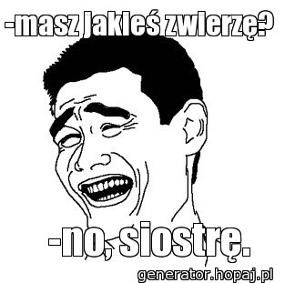 -masz jakieś zwierzę?