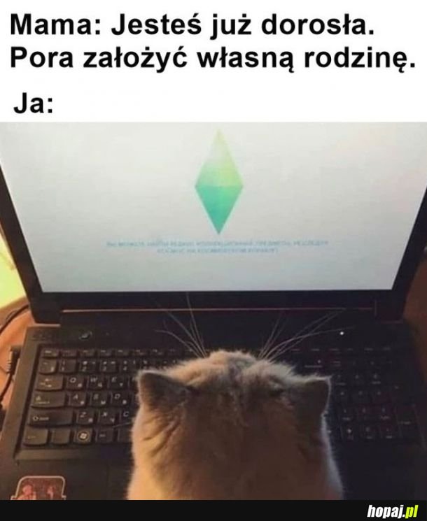 Założenie rodziny