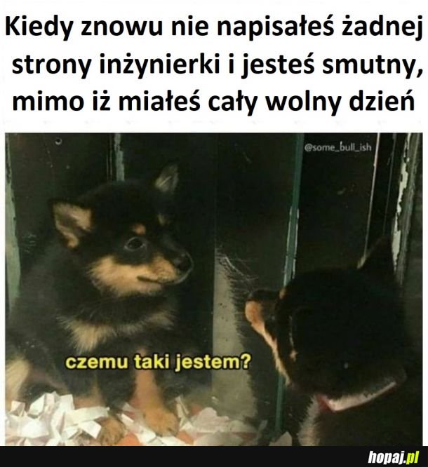 Pisanie inżynierki cd.