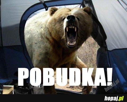 Pobudka!