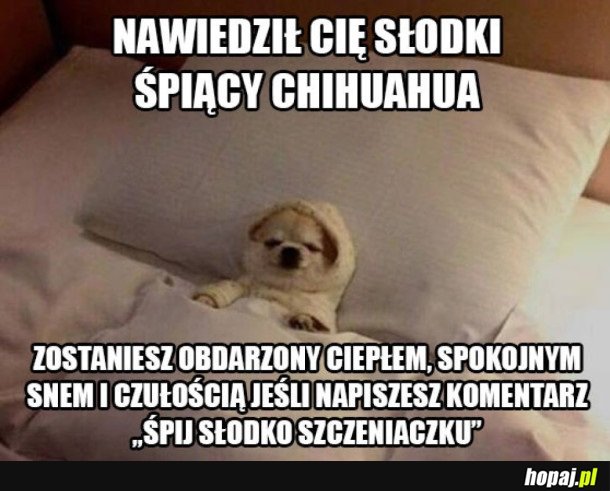 ŚPIJ SŁODKO
