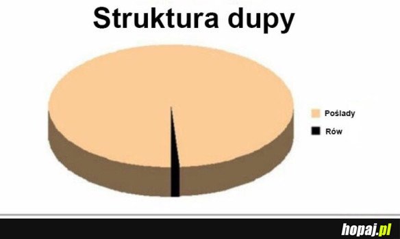 TAK TO WYGLĄDA