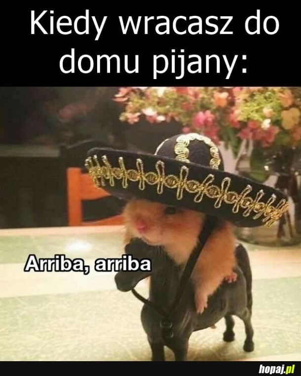 Pijany xd