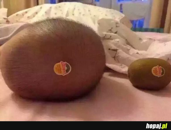 Kiwi?