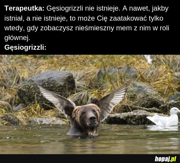 Gęsiogrizzli 